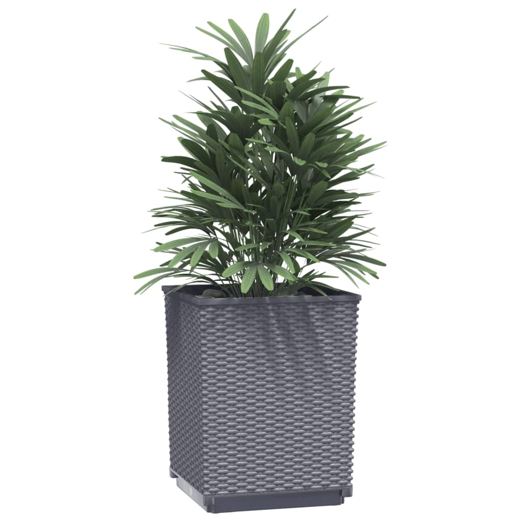 vidaXL Planters 2 pcs Dark Grey 30x30x37 cm Polypropylene