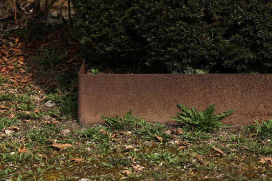 Corten Steel Planters: 6 Advantages and Defining Features