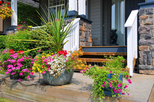 Outdoor Planter Materials: Why They Matter and How to Choose an Outdoor Planter