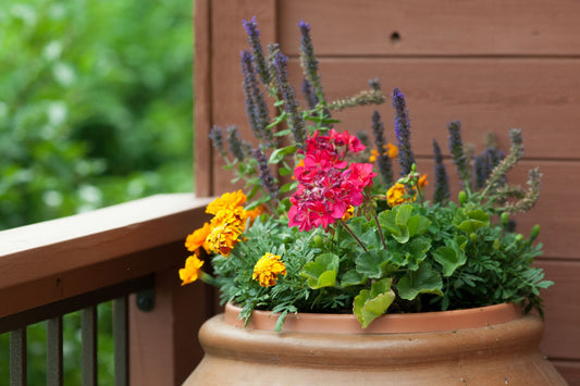 6 Front Porch and Deck Planters Ideas