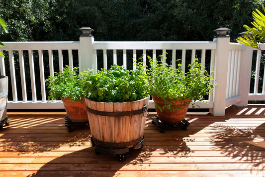 5 Best Planters for Herbs