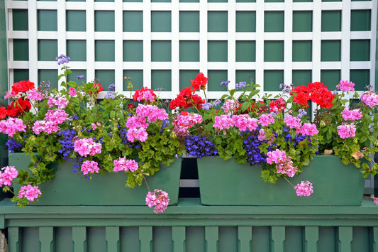 Advantages of Planters With Screens