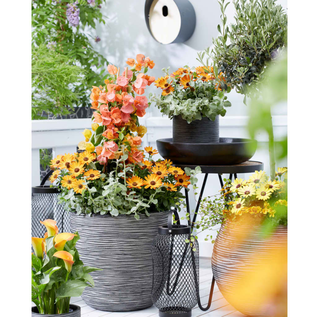 Capi Egg Planter Nature Rib 35x34 cm Anthracite KOFZ932